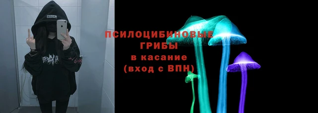 тгк Волосово