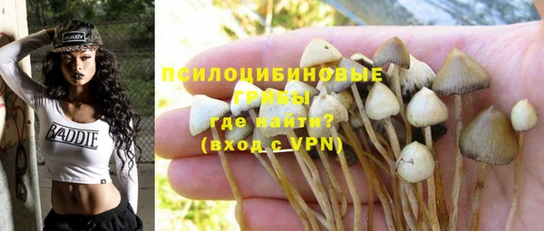 тгк Волосово